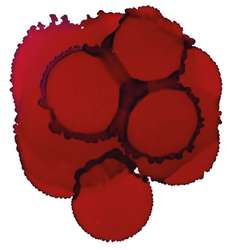 JACQUARD | Piñata COLOR Alcohol Ink — 15ml bottles, 15 ml, Chili pepper