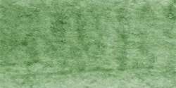 Michael Harding Watercolours, 15ml, Terre verte