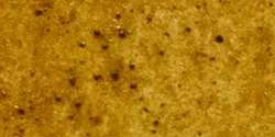 Michael Harding Watercolours, 15ml, Transparent oxide yellow