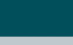 Jacques HERBIN | ÉCLATS Watercolour inks — individual bottles, 50 ml, peacock green