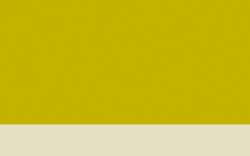 Jacques HERBIN | ÉCLATS Watercolour inks — individual bottles, 50 ml, Chartreuse