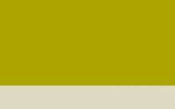 Jacques HERBIN | ÉCLATS Watercolour inks — individual bottles, 50 ml, olive green