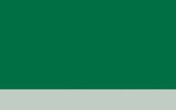 Jacques HERBIN | ÉCLATS Watercolour inks — individual bottles, 50 ml, English green