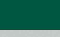 Jacques HERBIN | ÉCLATS Watercolour inks — individual bottles, 50 ml, fir green