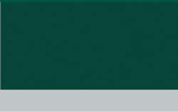 Jacques HERBIN | ÉCLATS Watercolour inks — individual bottles, 50 ml, empire green