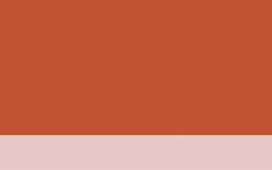 Jacques HERBIN | ÉCLATS Watercolour inks — individual bottles, 50 ml, sanguine