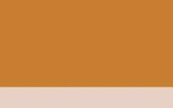 Jacques HERBIN | ÉCLATS Watercolour inks — individual bottles, 50 ml, raw Sienna