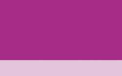 Jacques HERBIN | ÉCLATS Watercolour inks — individual bottles, 50 ml, fuchsia