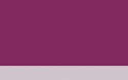 Jacques HERBIN | ÉCLATS Watercolour inks — individual bottles, 50 ml, blackcurrant