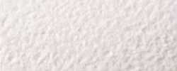 CARAN d'ACHE® | MUSEUM Watercolour Pencils — individual, White