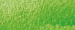 CARAN d'ACHE® | MUSEUM Watercolour Pencils — individual, Grass green
