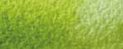 CARAN d'ACHE® | MUSEUM Watercolour Pencils — individual, Dark olive