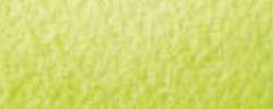 CARAN d'ACHE® | MUSEUM Watercolour Pencils — individual, Spring green