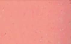 pébéo | Setacolor CUIR LEATHER Paint Markers — single, Individual marker, Sakura pink