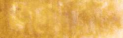 urban yellow