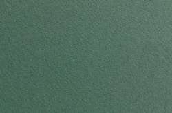 FABRIANO® | CROMIA Pastel paper — sheets, 50 cm x 65 cm, green