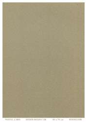 SENNELIER | Pastel Card ○ 410 gsm — individual sheets, 50 cm x 70 cm, Light grey