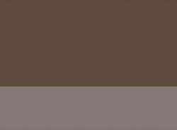 raw umber