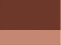 burnt Sienna