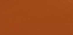 Raw Sienna 54% *