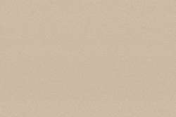 Clairefontaine | PASTELGRAIN® Pastel Card sheets — 360 gsm, 50 cm x 70 cm, sand