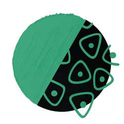 COPIC® | acrea marker ○ water based — individual, marker, Leaf green