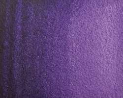 Isaro purple deep