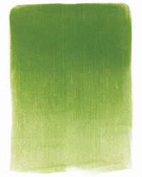 PANPASTEL® | Ultra Soft Artists' Painting Pastels — individual 9 ml pans, 9 ml pans, Yellow green shade