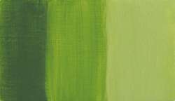 Bamboo green