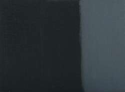 Intense black