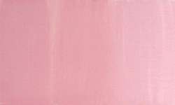 Pink coral