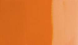 Indian orange