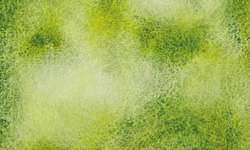 WHITE NIGHTS™ | Granulating Watercolours — pans and tubes, whole pans, Green dream