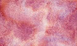 WHITE NIGHTS™ | Granulating Watercolours — pans and tubes, whole pans, Rose dream