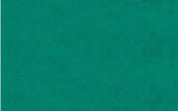 URSUS® | Transparent Paper Rolls — 70 cm x 100 cm, Dark green