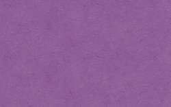 URSUS® | Transparent Paper Rolls — 70 cm x 100 cm, Lavender