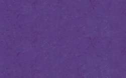 URSUS® | Transparent Paper Rolls — 70 cm x 100 cm, Violet