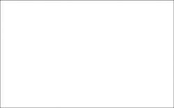 URSUS® | Transparent Paper Rolls — 70 cm x 100 cm, White