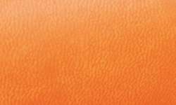mandarin