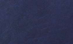 midnight blue