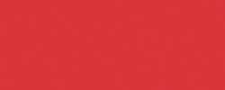 folia® | Coloured Craft Paper packs — 100 sheets, A4, hibiscus