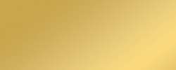 folia® | Poster Board 10 sheet packs — 380 gsm, 48 cm x 68 cm, gold