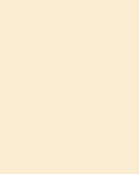 folia® |  Coloured Photo Card packs — 300 gsm, 50 cm x 70cm, beige