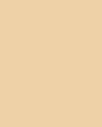 folia® |  Coloured Photo Card packs — 300 gsm, 50 cm x 70cm, chamois