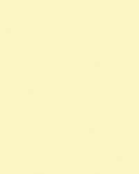 folia® |  Coloured Photo Card packs — 300 gsm, 50 cm x 70cm, straw yellow