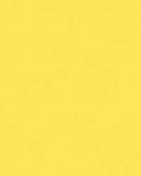 folia® |  Coloured Photo Card packs — 300 gsm, 50 cm x 70cm, lemon yellow