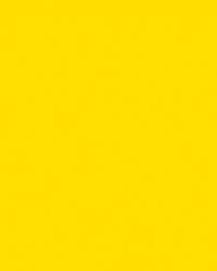 folia® |  Coloured Photo Card packs — 300 gsm, 50 cm x 70cm, banana yellow