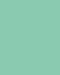 folia® |  Coloured Photo Card packs — 300 gsm, 50 cm x 70cm, mint