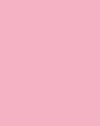 folia® |  Coloured Photo Card packs — 300 gsm, 50 cm x 70cm, rose