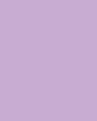 folia® |  Coloured Photo Card packs — 300 gsm, 50 cm x 70cm, purple